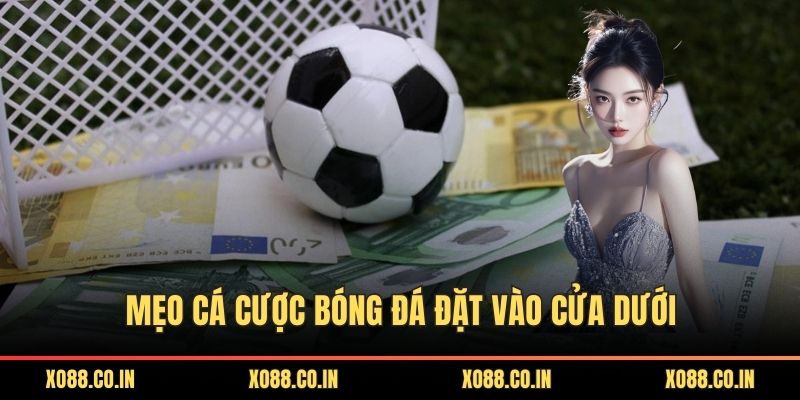 Mẹo cá cược bóng đá đặt vào cửa dưới