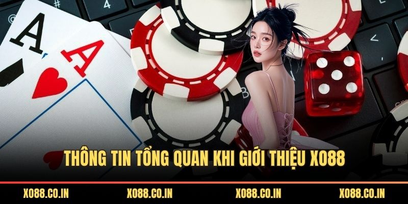 Thông tin tổng quan khi giới thiệu XO88